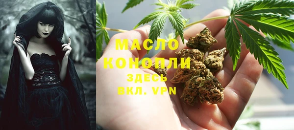 амф Михайловск