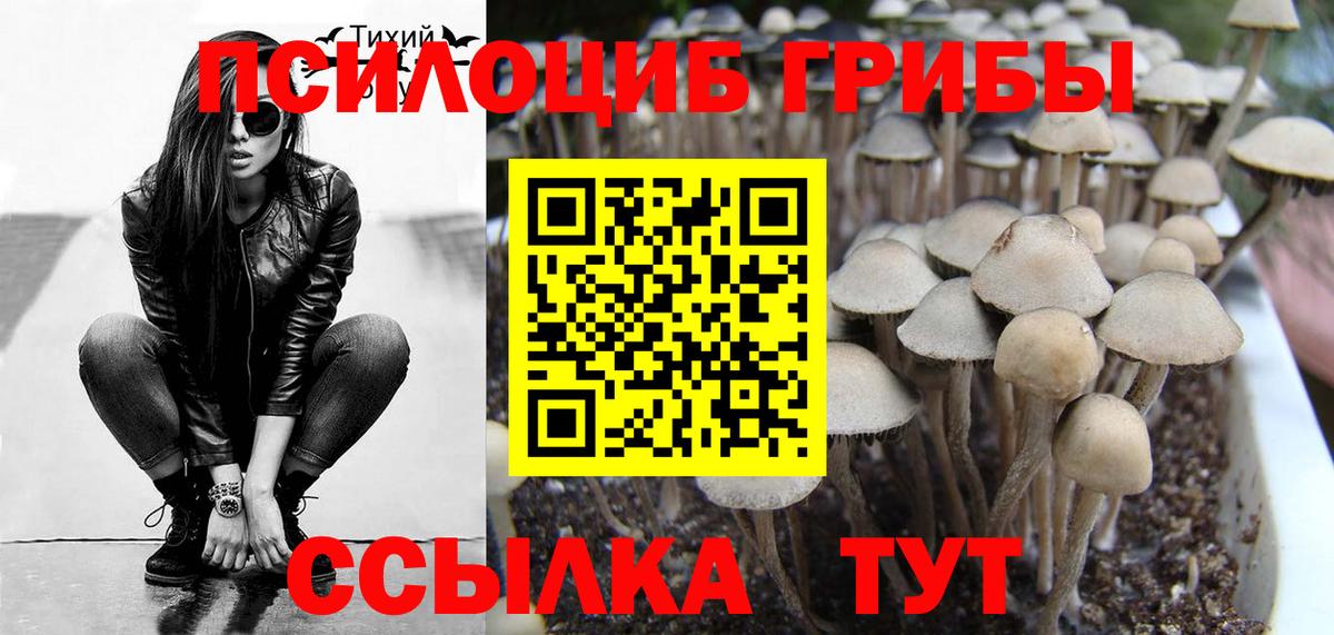 Псилоцибиновые грибы ЛСД Рязань
